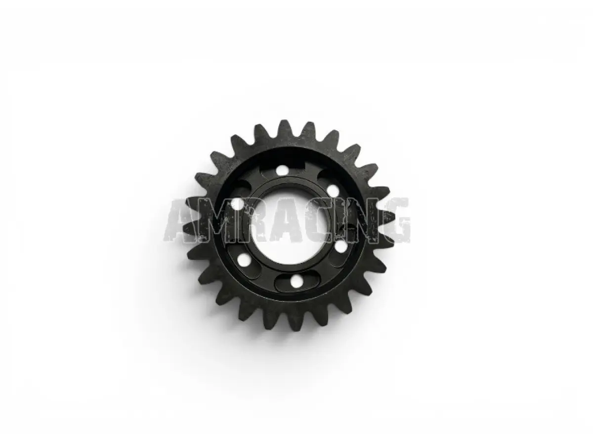 INGR A.S. 3^ Z24 6M EN 250/300 2T 450 4T INN.MOD. MY21